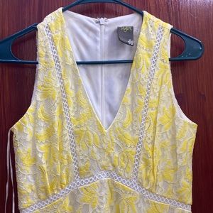 Taylor Lace Handkerchief Hem Midi Dress size 2